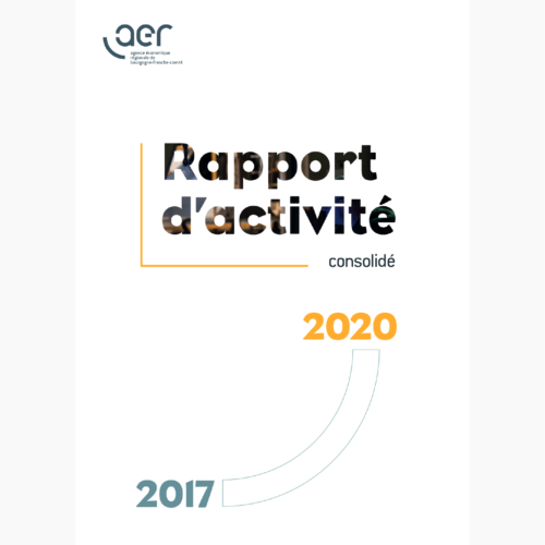 Rapport d'activité consolidé 2017-2020