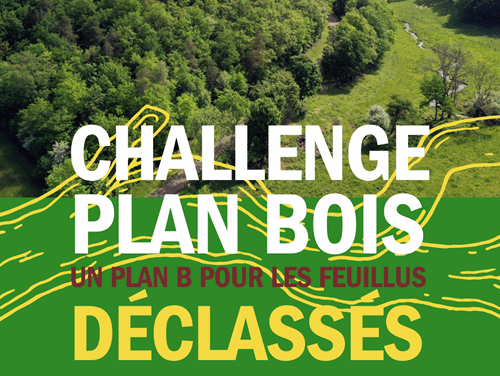 Participez au Challenge Plan Bois : un plan B pour les feuillus délaissés !