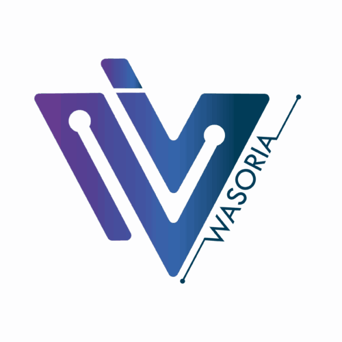 Basée au Creusot à Hub&Go, Wasoria développe une solution de tri des déchets par intelligence artificielle. Fondée en 2020, Wasoria a su mobiliser les bons leviers pour donner un véritable élan à son projet. Franck Lafontaine revient sur les étapes clés qui ont permis à son projet de prendre forme. 