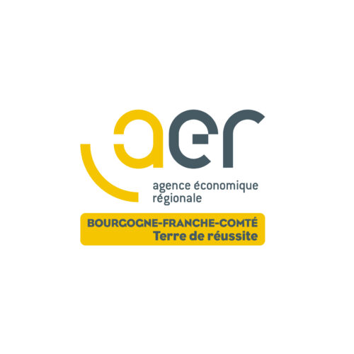 Instance Economique Régionale – Comité de Contrôle Analogue