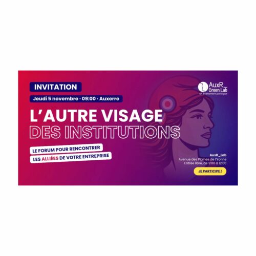 L&rsquo;autre visage des institutions