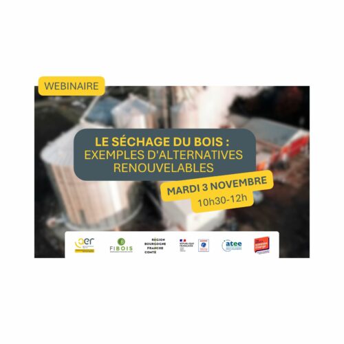 Webinaire – Le séchage du bois : exemples d&rsquo;alternatives renouvelables
